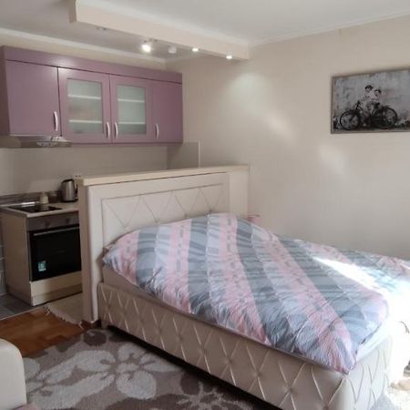 Alex 2 Apartman Vrnjacka Banja Exterior photo